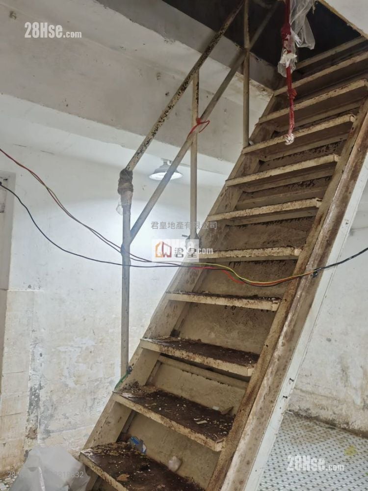 唐樓 租盤 開放式間隔