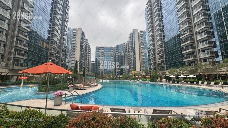 Grand Mayfair  Rental 2 Bedrooms , 1 Bathroom 351 ft²