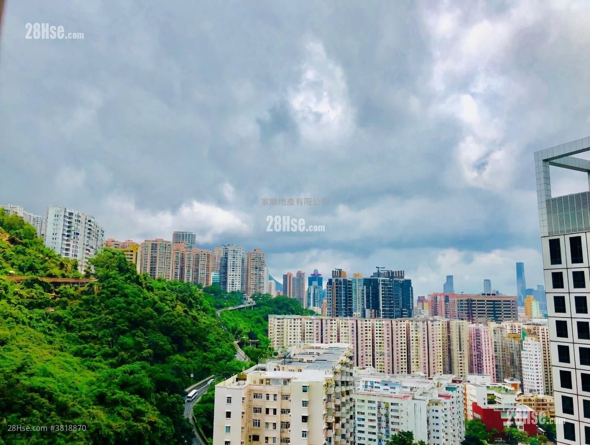 君豪峰 租盤 開放式間隔 , 1 浴室 216 平方呎