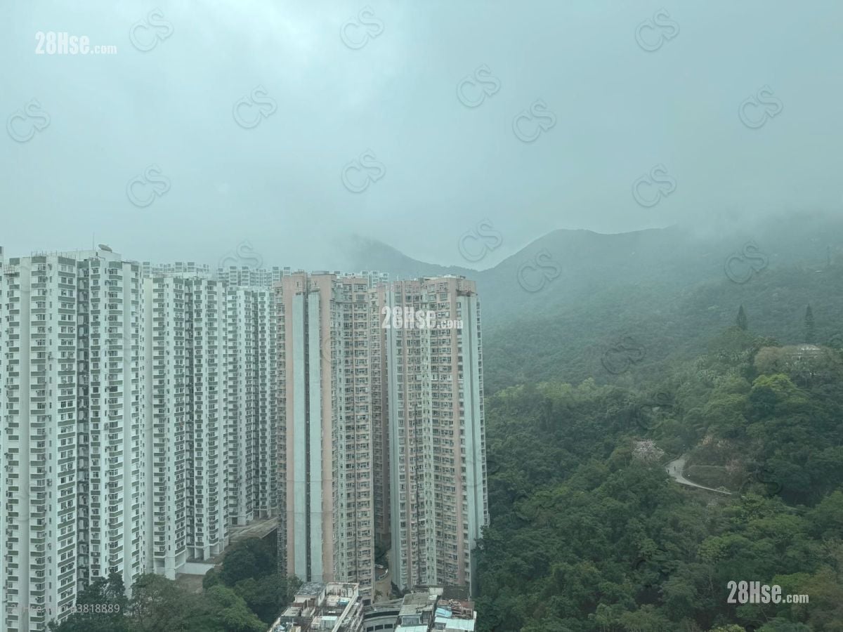 Kornville Rental 3 Bedrooms , 1 Bathroom 538 ft²