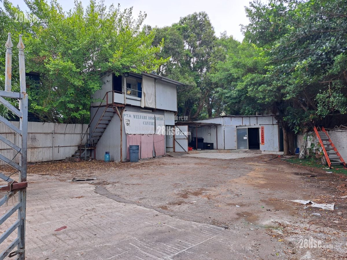 土地 租盘 10,000 平方尺