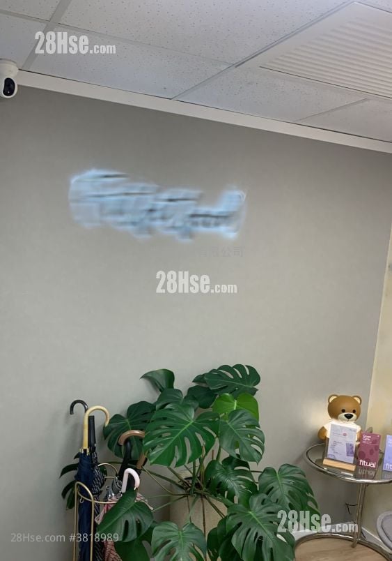 恒福商业中心 租盘 5+ 房