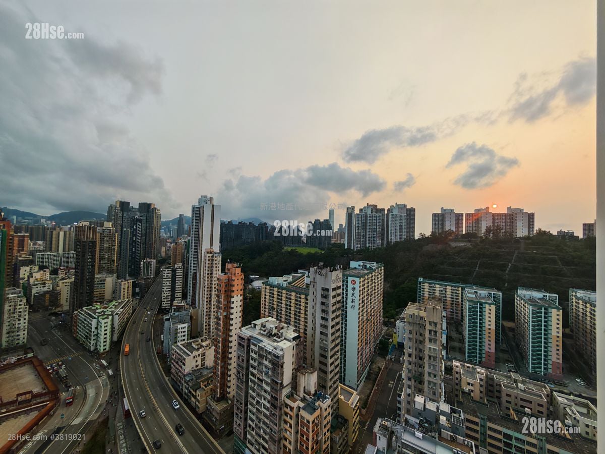 津汇 租盘 开放式间隔 , 1 浴室 267 平方尺