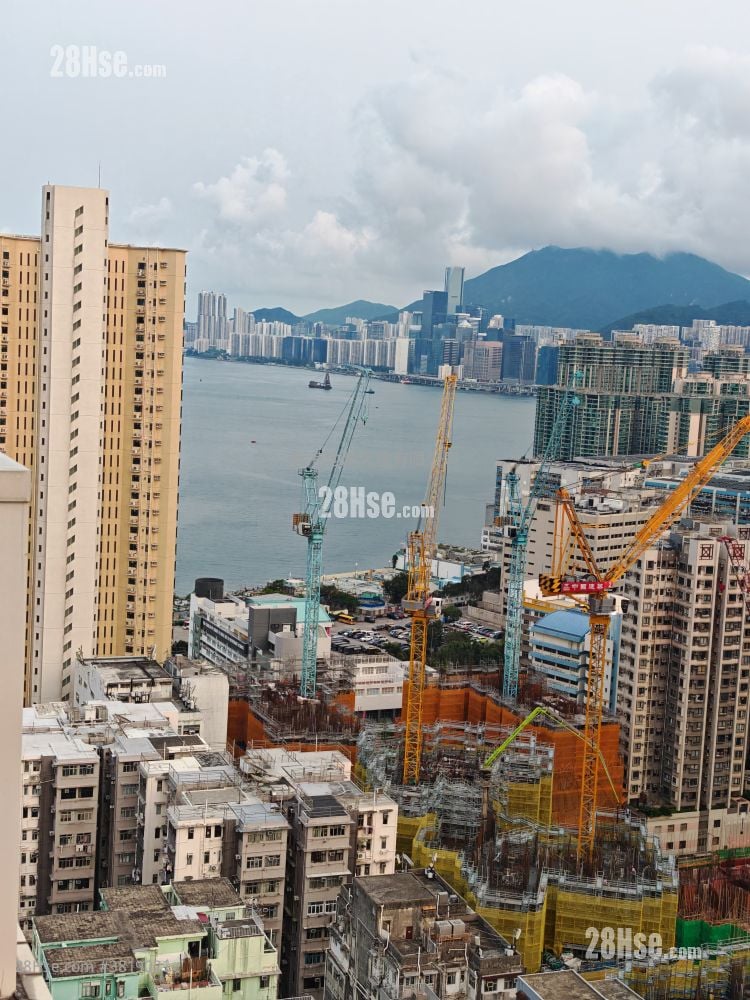 津汇 租盘 开放式间隔 , 1 浴室 267 平方尺