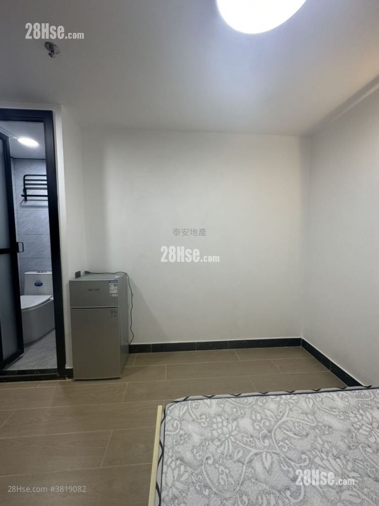 Apartment Rental Studio , 1 Bathroom 150 ft²