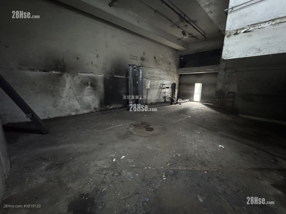 International Plaza Rental