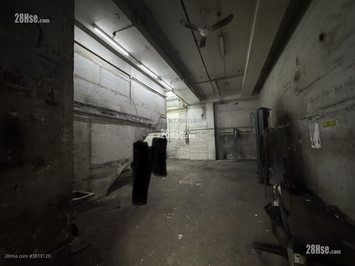 International Plaza Rental