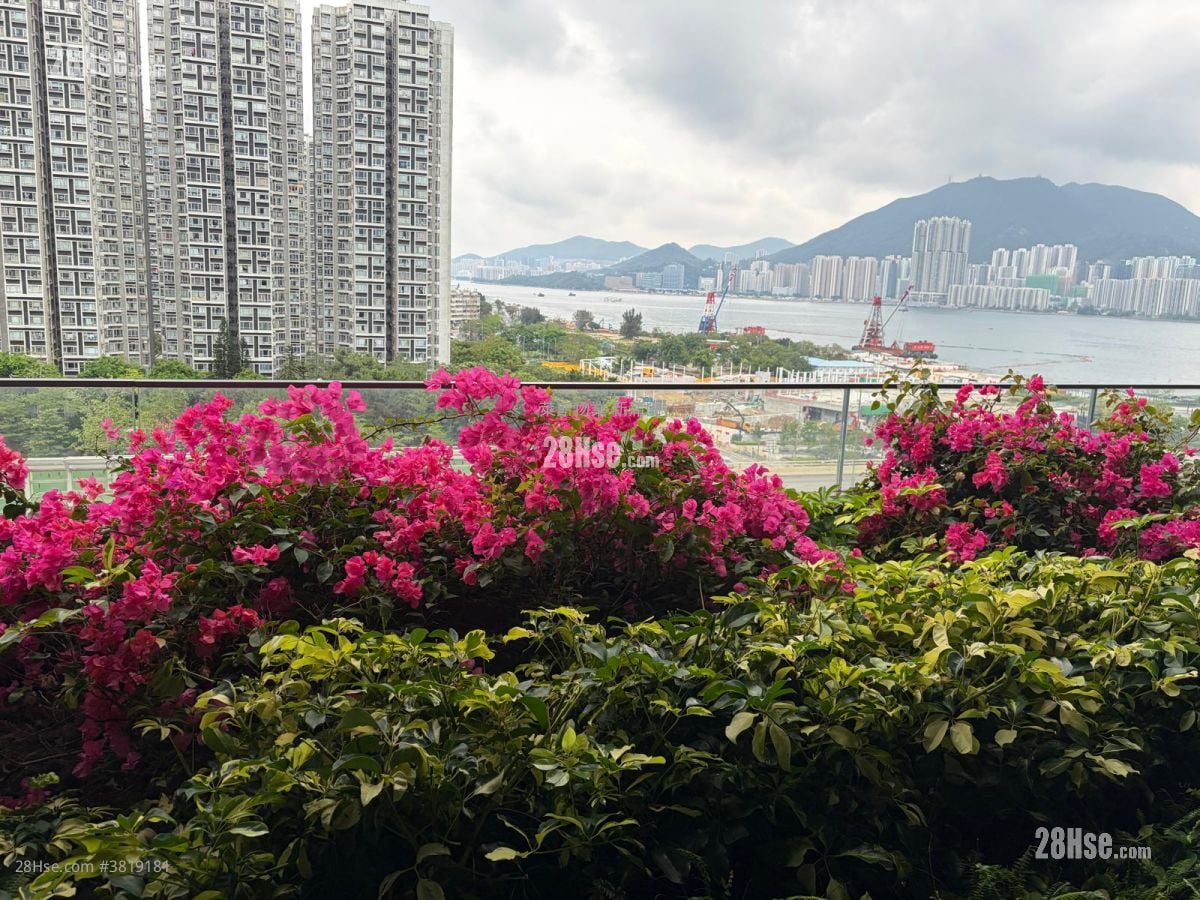 四洲集团中心 售盘