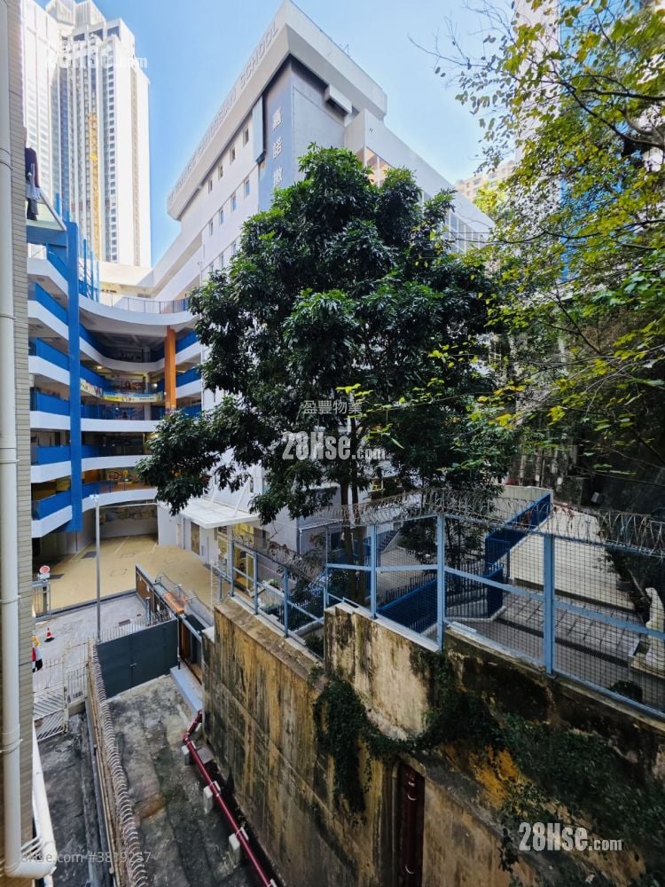 萬豪閣 租盤 1 房 , 1 浴室 419 平方呎