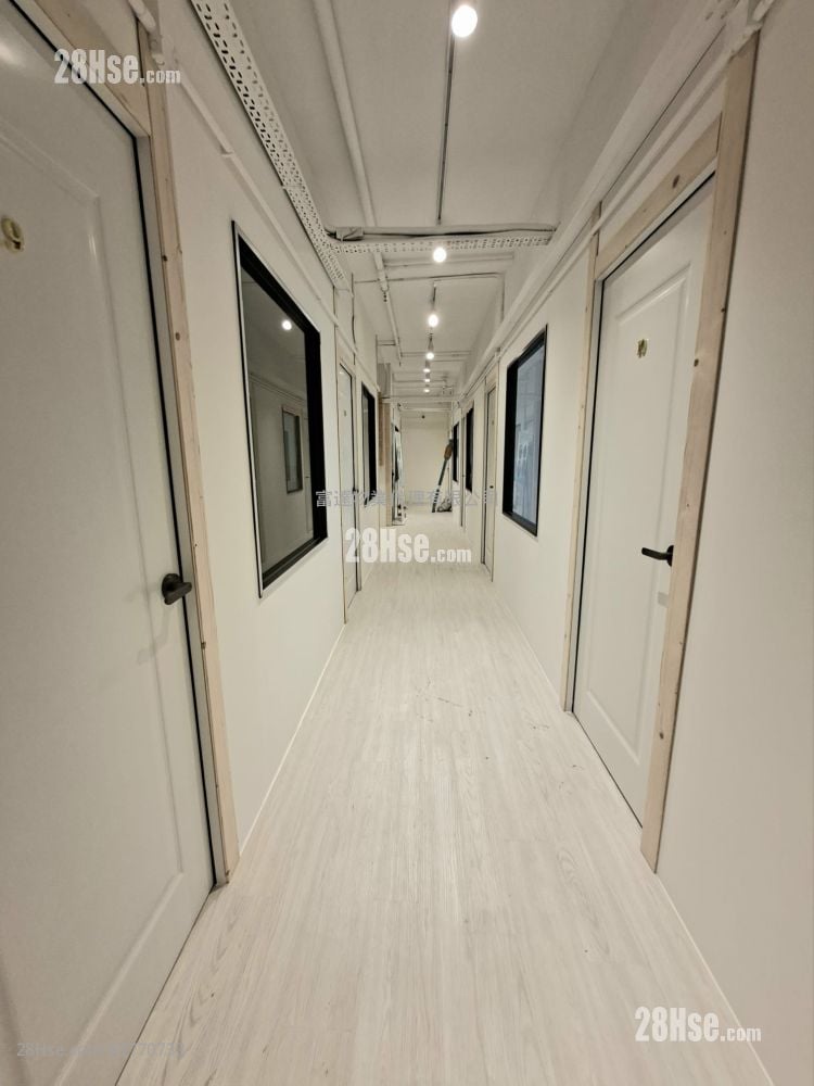 駱駝漆大廈 租盤