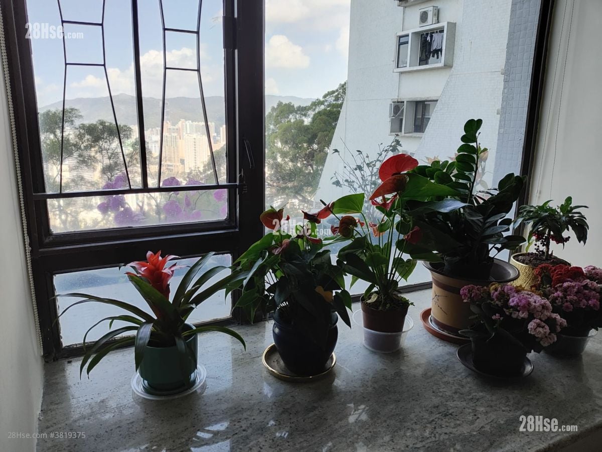 華景山莊 售盤 3 房 , 2 浴室 873 平方呎