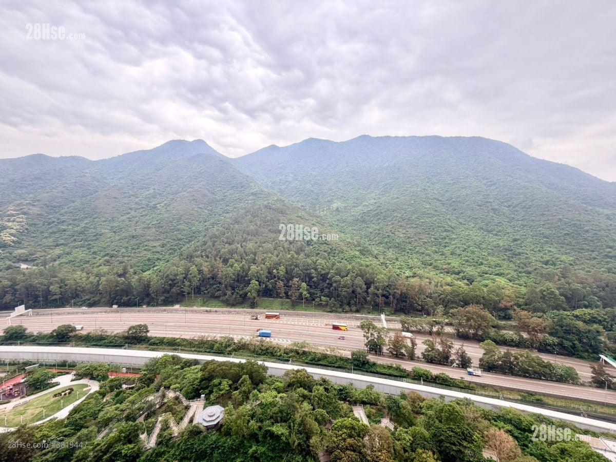 Caribbean Coast Rental 2 Bedrooms , 1 Bathroom 565 ft²