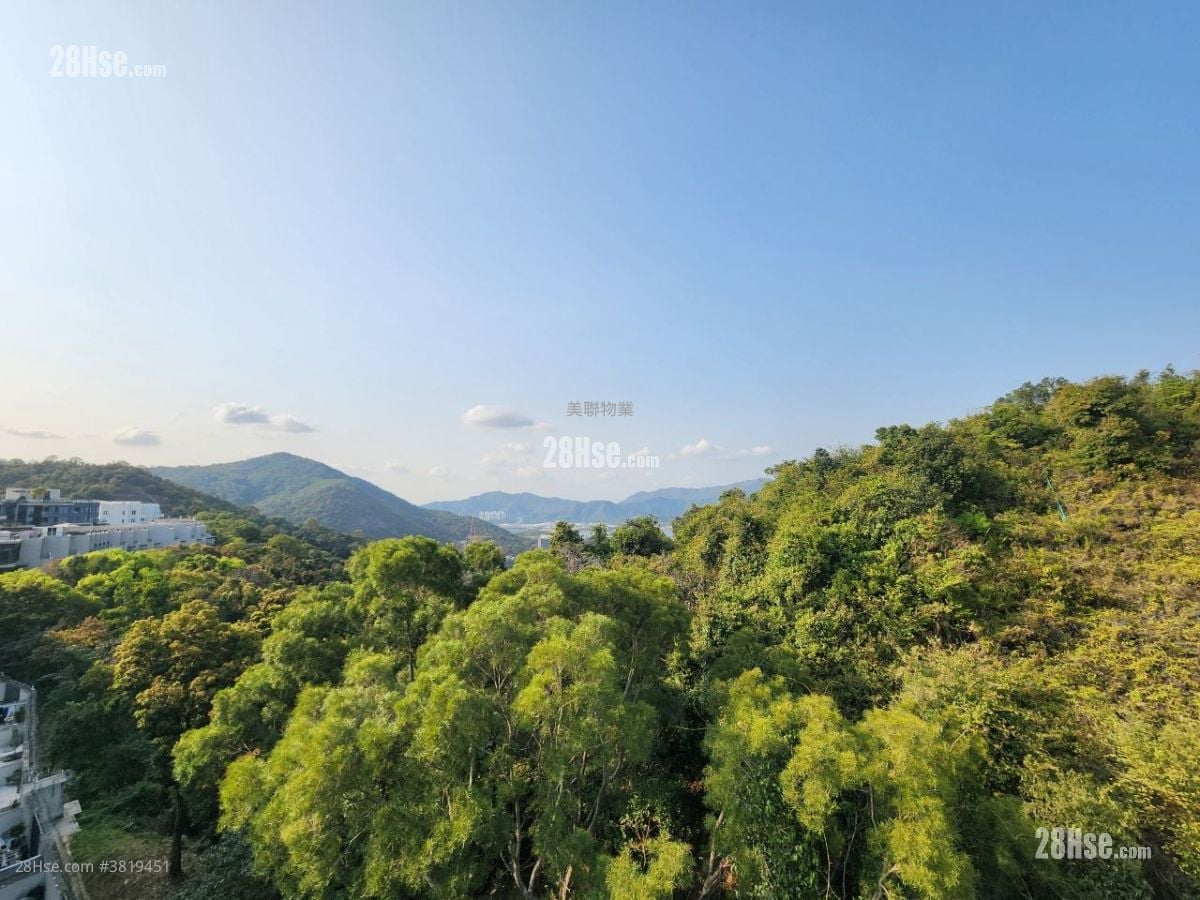 景观: 澐沣 售盘 4 房 , 4 浴室 1,790 平方尺