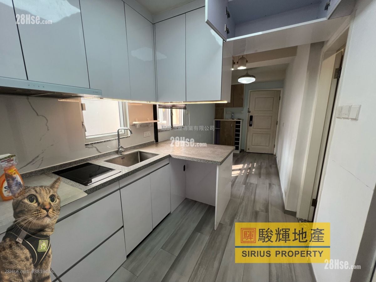 威信大廈 租盤 1 房 , 1 浴室 249 平方呎