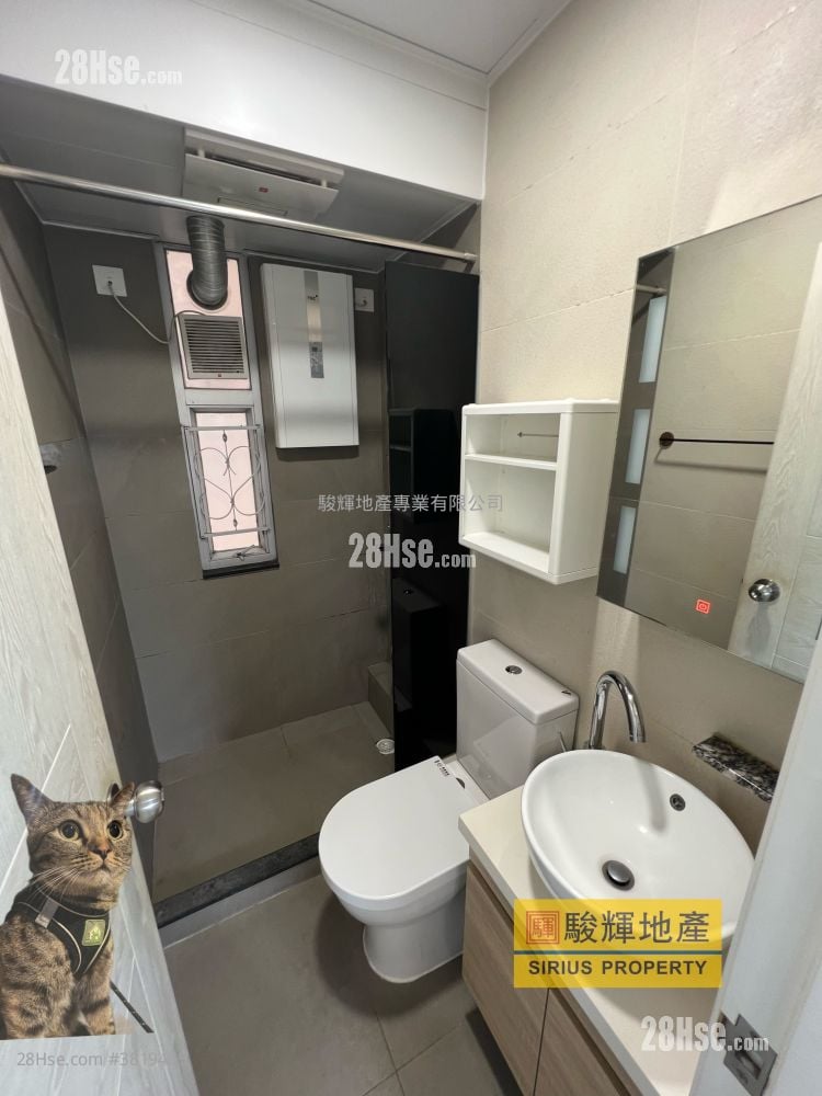 威信大廈 租盤 1 房 , 1 浴室 249 平方呎