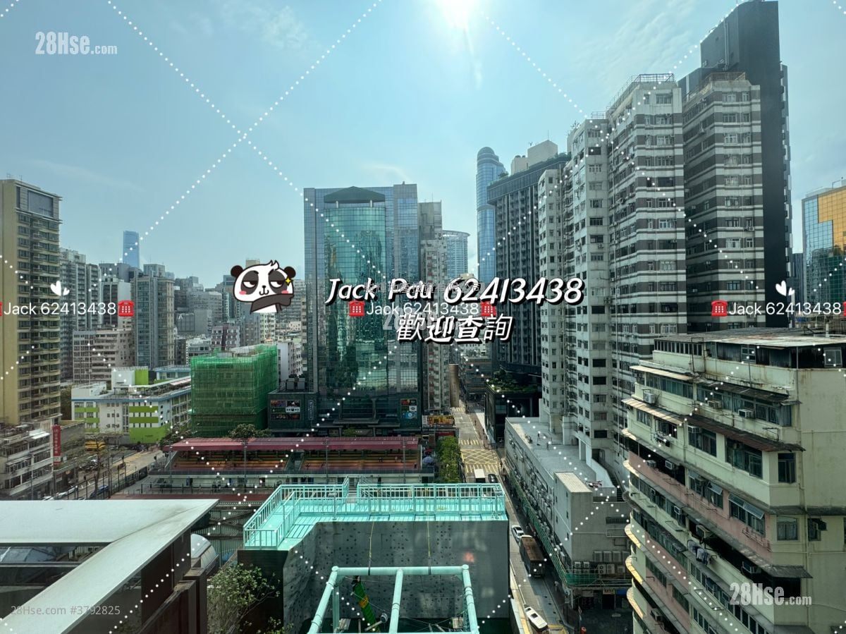 麦花臣汇 租盘 2 房 , 1 浴室 561 平方尺