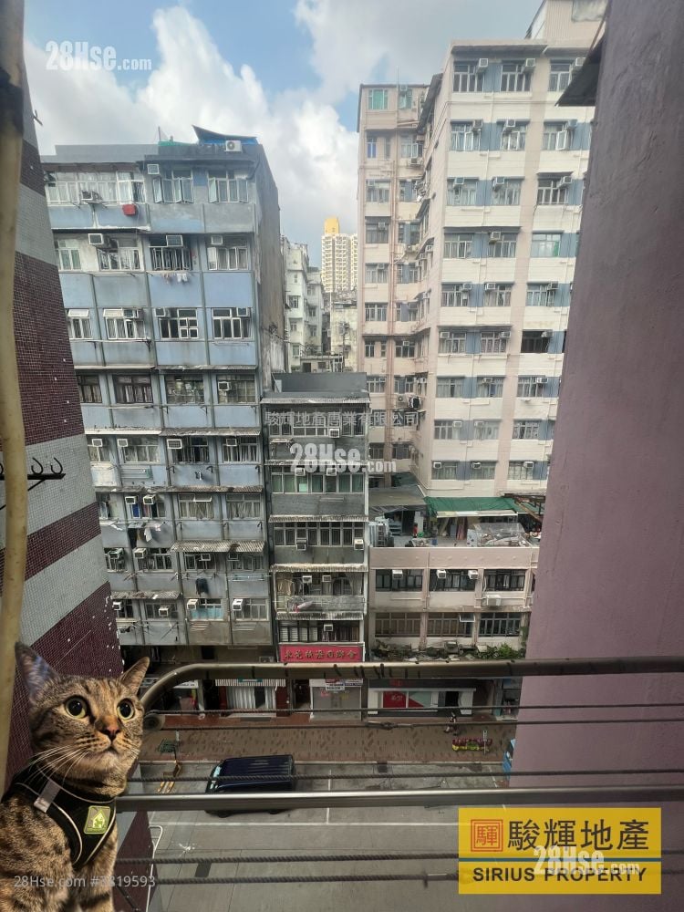 华邦大楼 租盘 1 房 , 1 浴室 228 平方尺