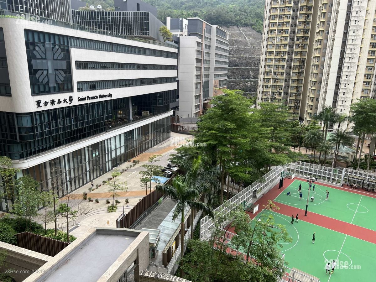 城中駅 租盘 2 房 , 1 浴室 503 平方尺