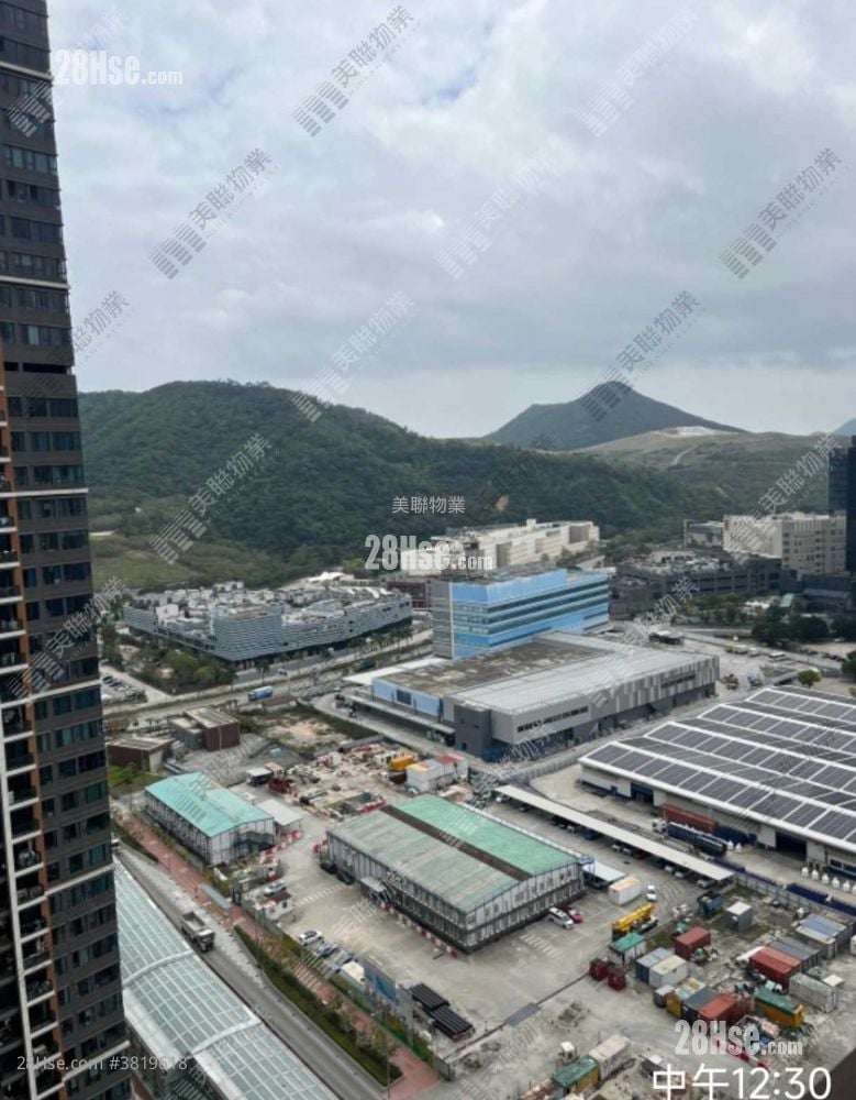 LP6 售盘 1 房 305 平方尺