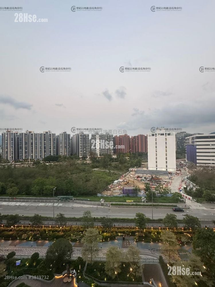 Silicon Hill Rental 2 Bedrooms , 1 Bathroom 407 ft²