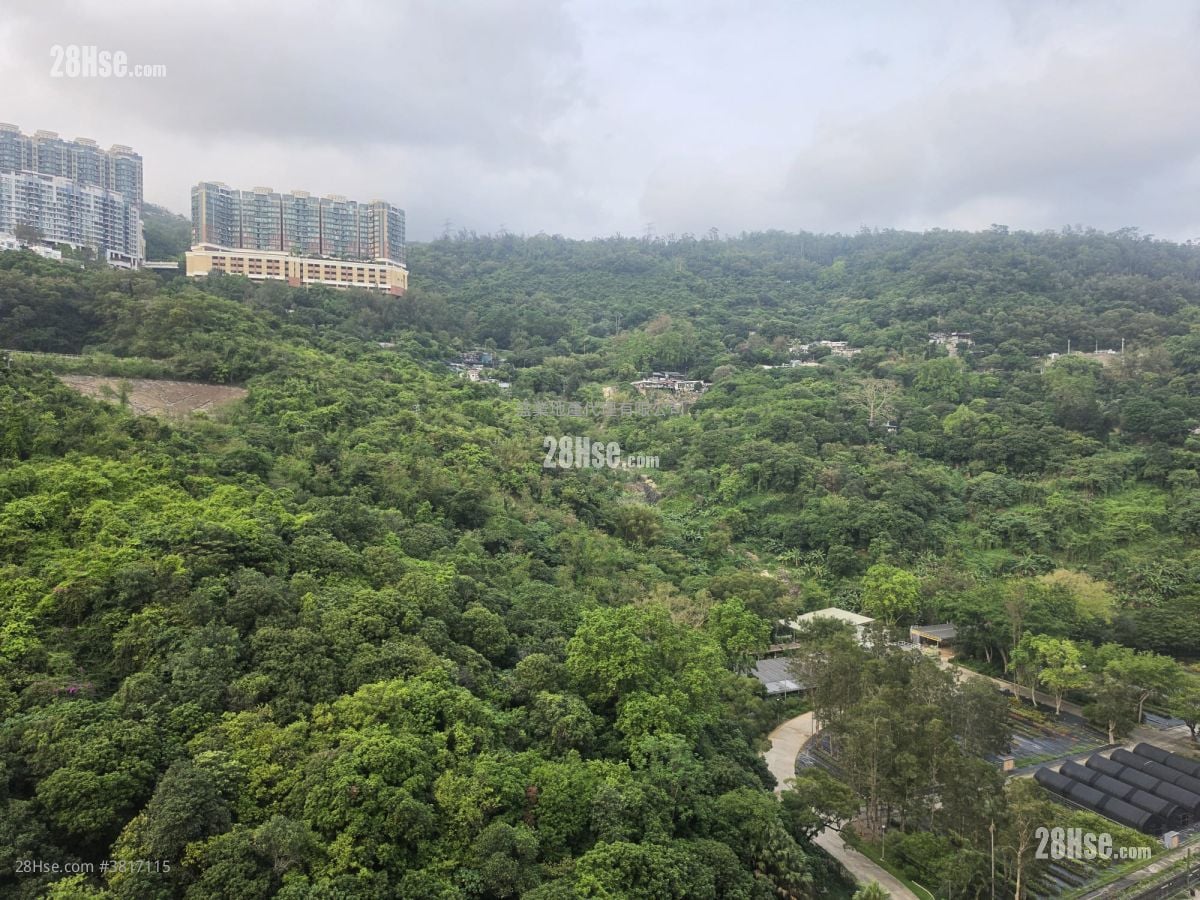 Tsuen Wan Centre Rental 2 Bedrooms , 1 Bathroom 377 ft²