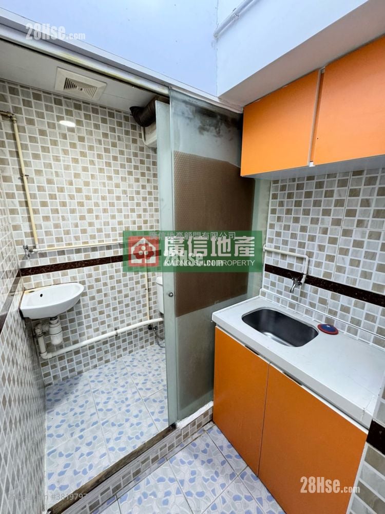 唐楼 售盘 5+ 房 648 平方尺