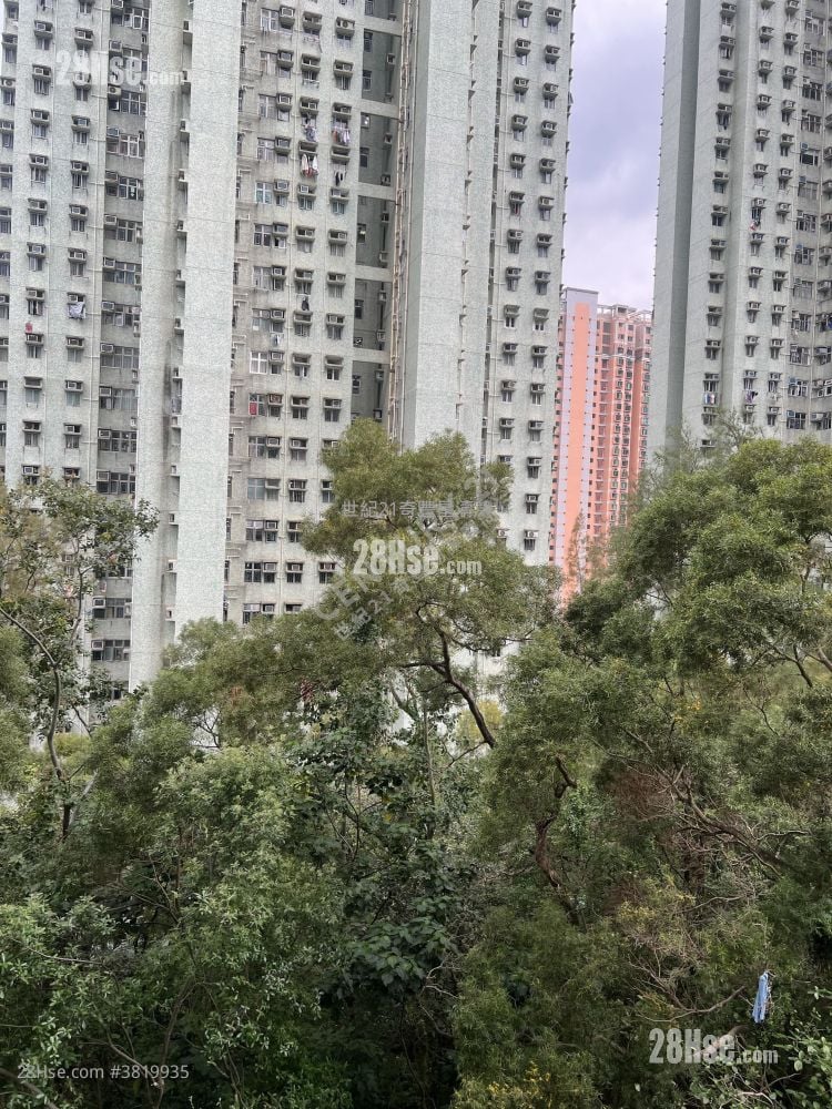 富宝花园 售盘 3 房 , 1 浴室 592 平方尺