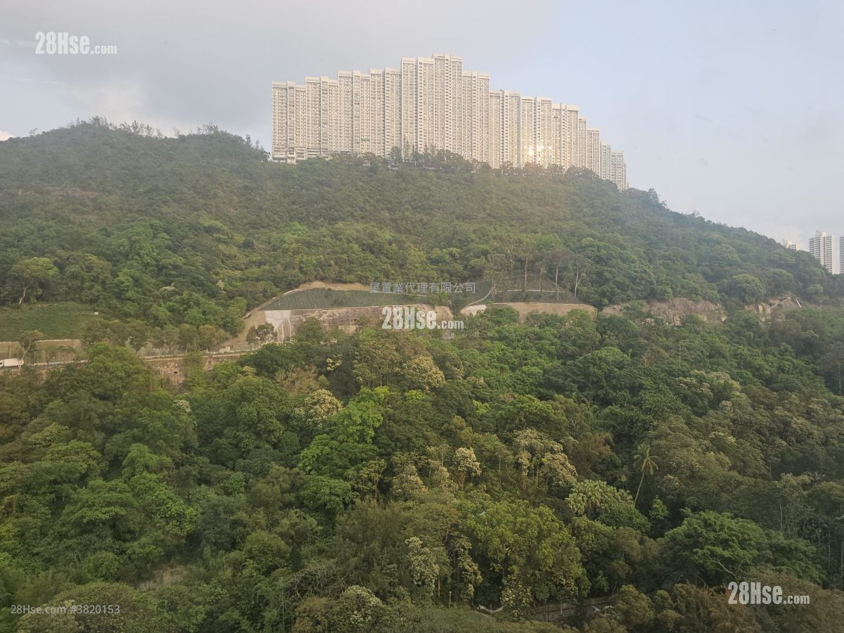 金龙工业中心 租盘