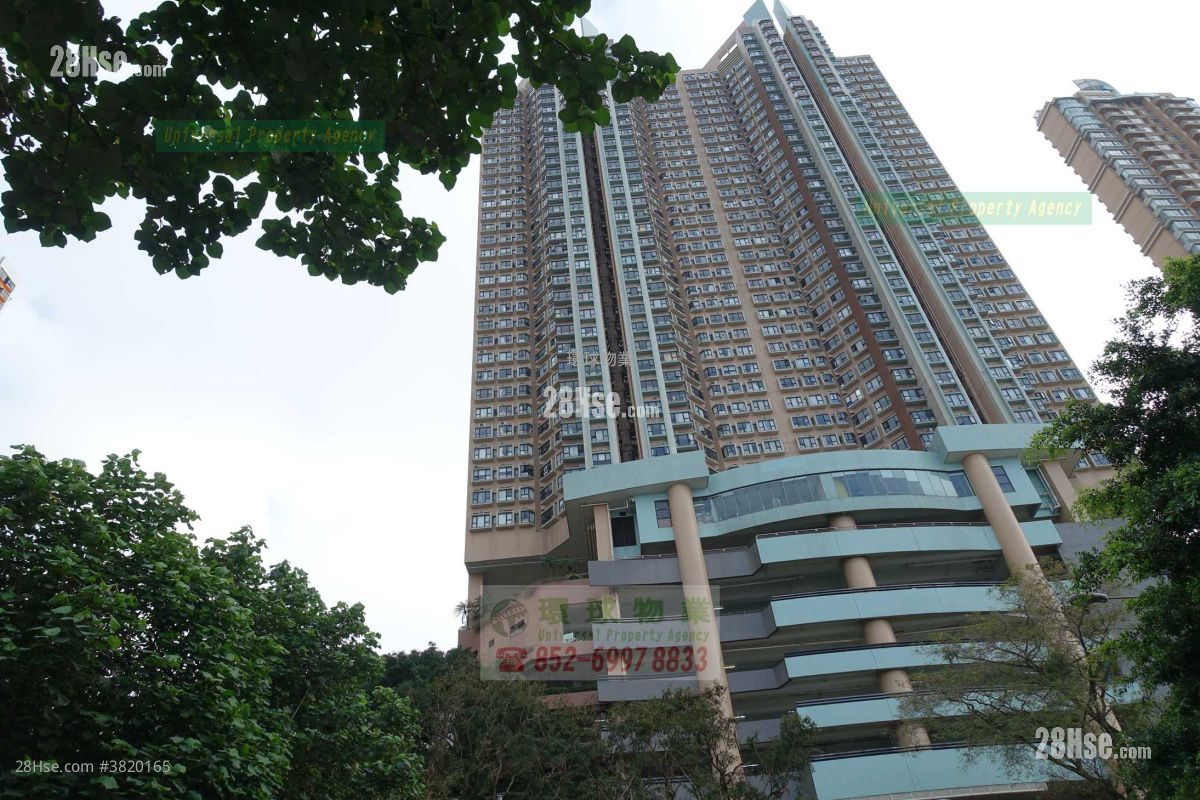 Cayman Rise Rental 2 Bedrooms , 1 Bathroom 464 ft²