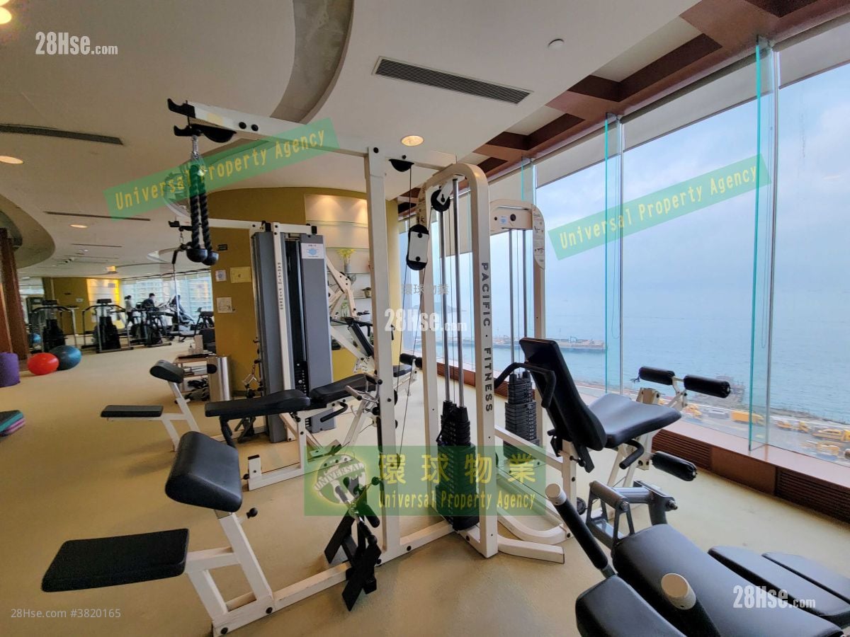 Cayman Rise Rental 2 Bedrooms , 1 Bathroom 464 ft²