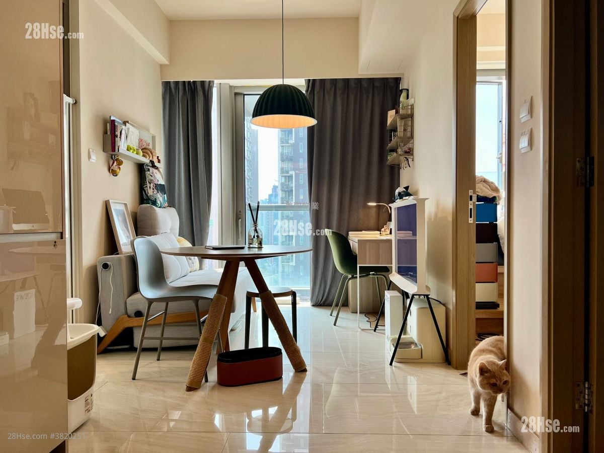 眀徳山 售盤 1 房 , 1 浴室 353 平方呎