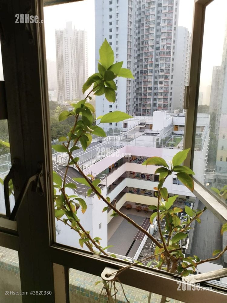 嘉強苑 售盤 3 房 , 1 浴室 559 平方呎