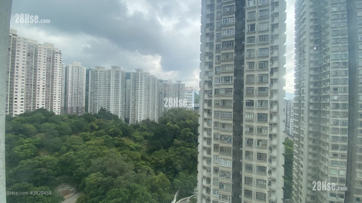 荃德花园 租盘 341 平方尺