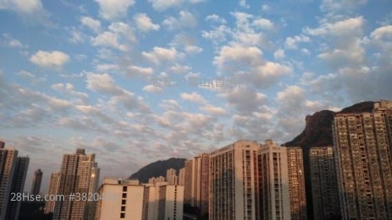 伯德大楼 售盘 2 房 , 1 浴室 353 平方尺