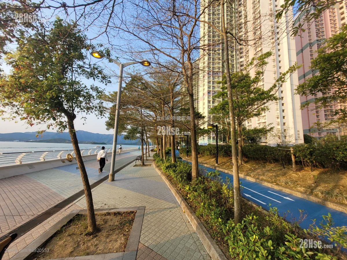 錦豐苑 售盤 3 房 , 1 浴室