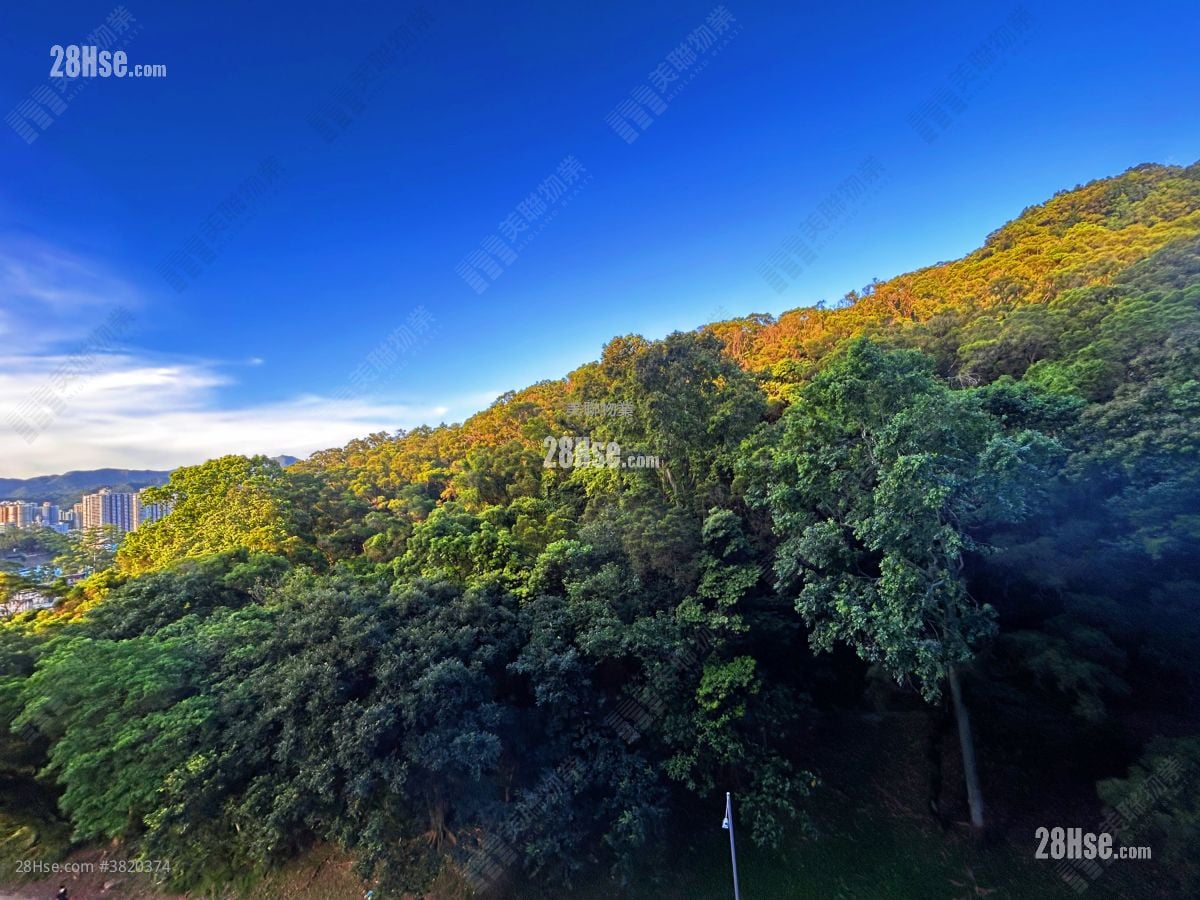 天鑽 售盤 2 房 , 1 浴室 457 平方呎