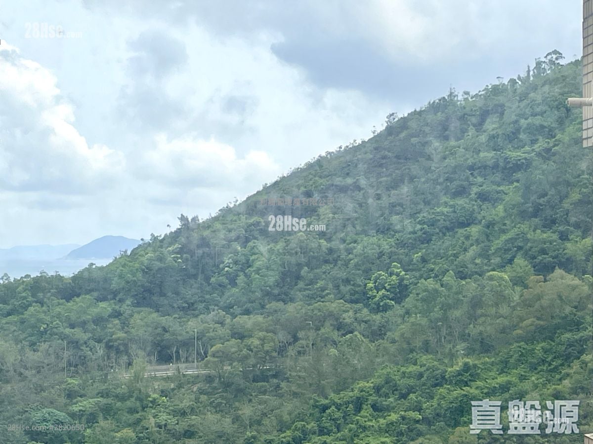 城中駅 售盤 3 房 , 1 浴室 594 平方呎