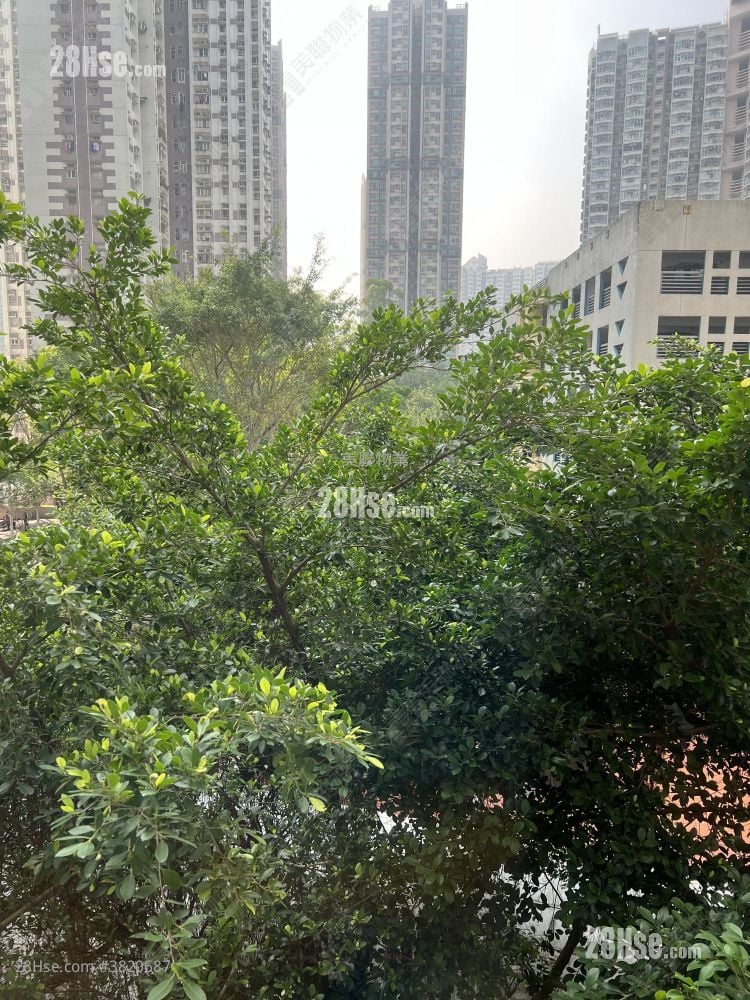 Yan Shing Court Sell 3 Bedrooms 645 ft²