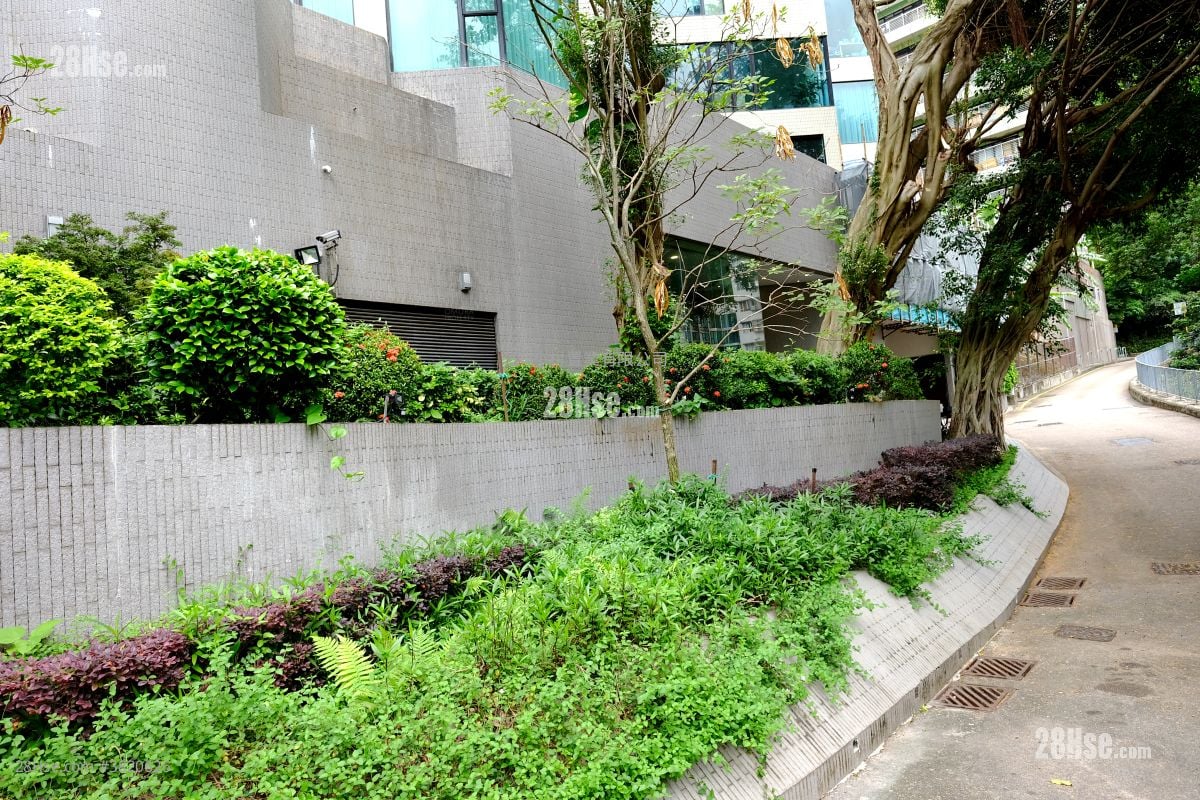 其它: 堅尼地道150號 租盤 3 房 , 2 浴室 897 平方呎