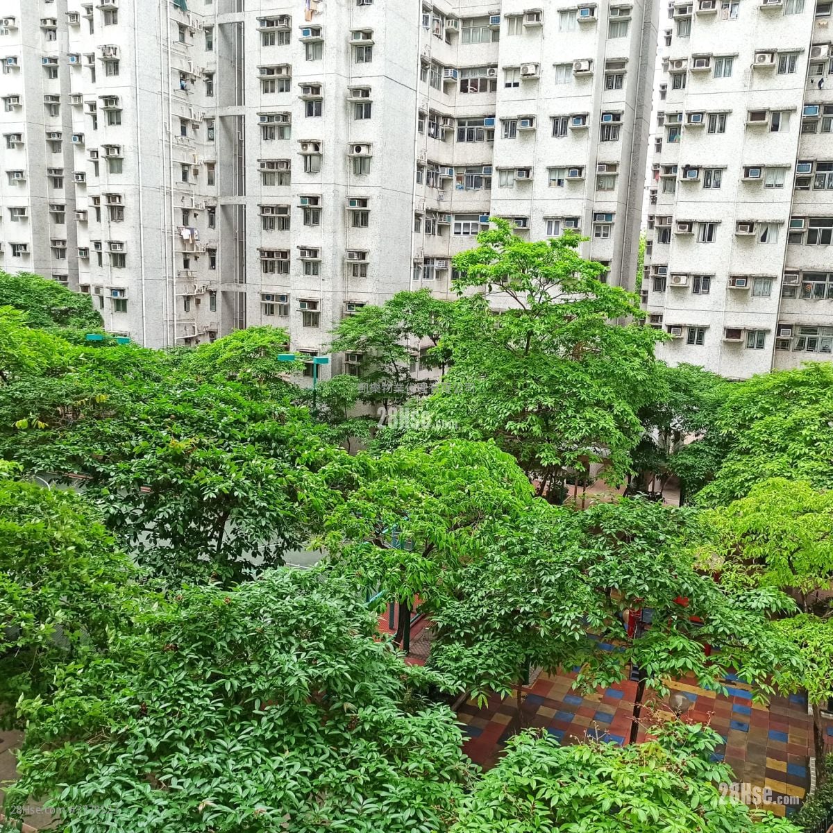富榮花園 售盤 592 平方呎