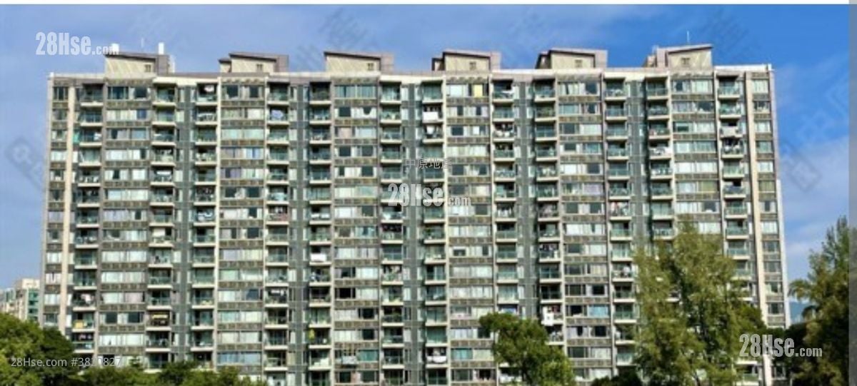 君柏 租盤 4 房 , 3 浴室 1,624 平方呎