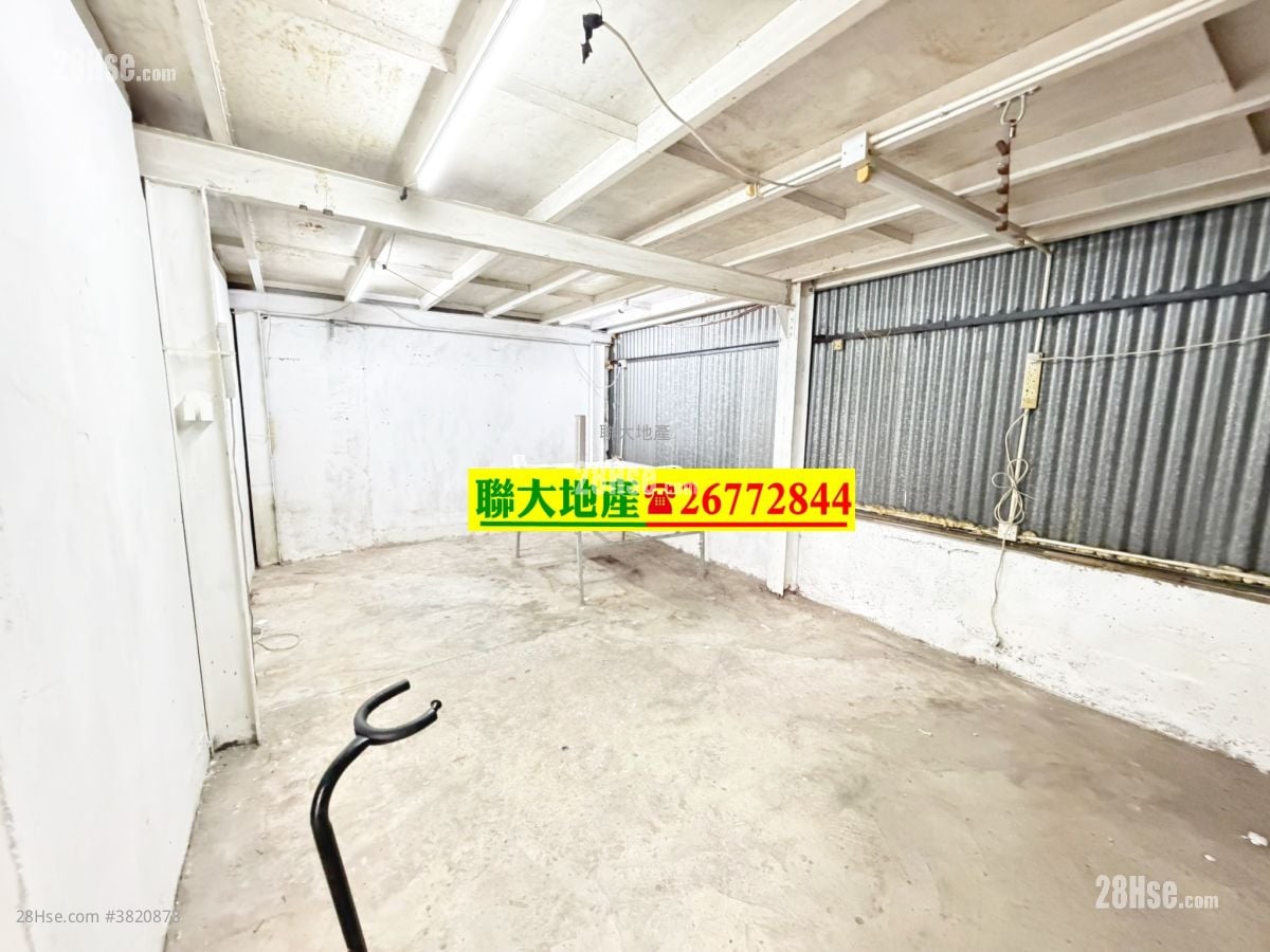 土地 租盘 800 平方尺