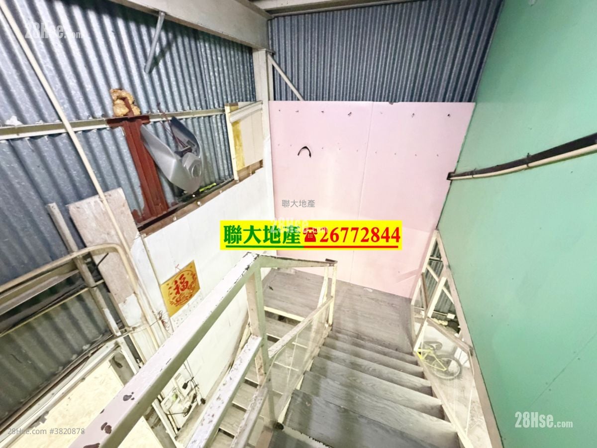 土地 租盘 800 平方尺