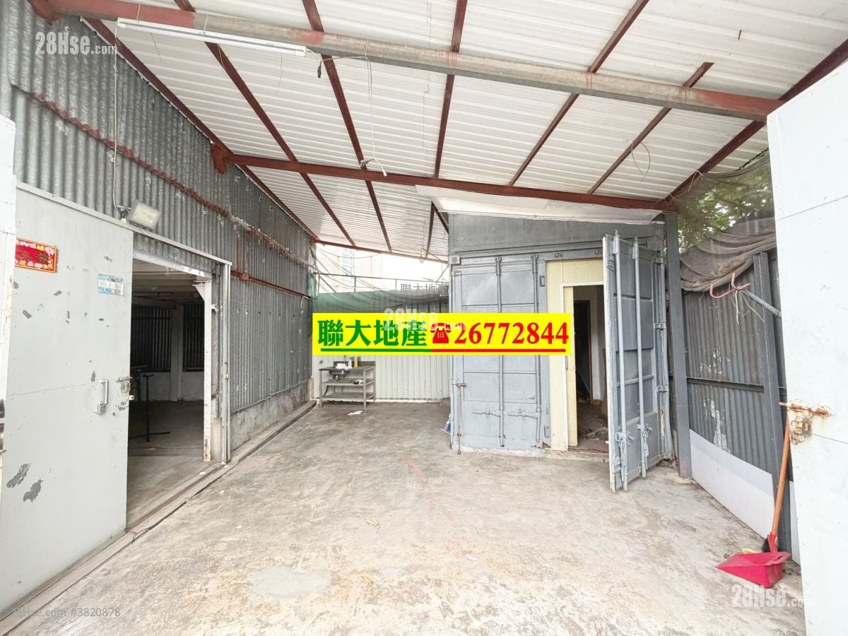 土地 租盘 800 平方尺