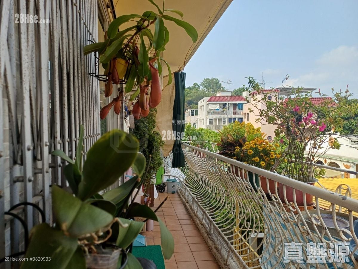 定福花园 售盘 5+ 房 700 平方尺