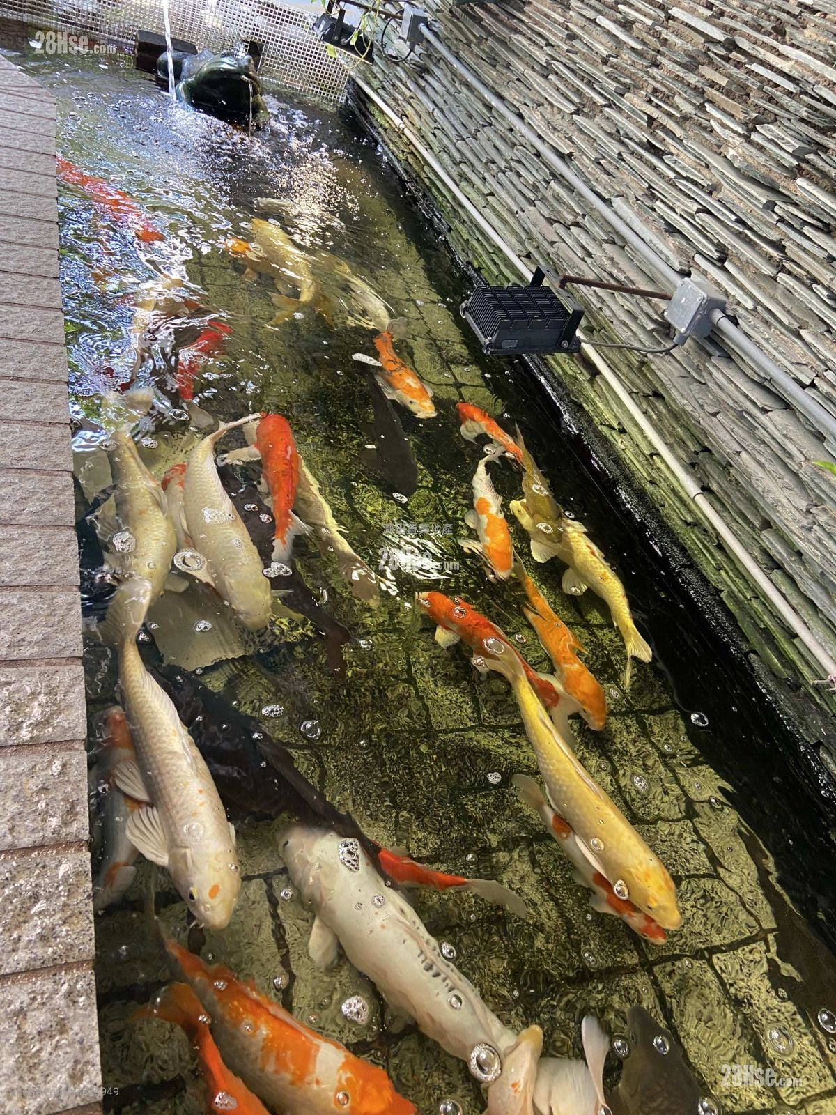 仁禮花園 租盤 4 房 , 3 浴室 2,267 平方呎