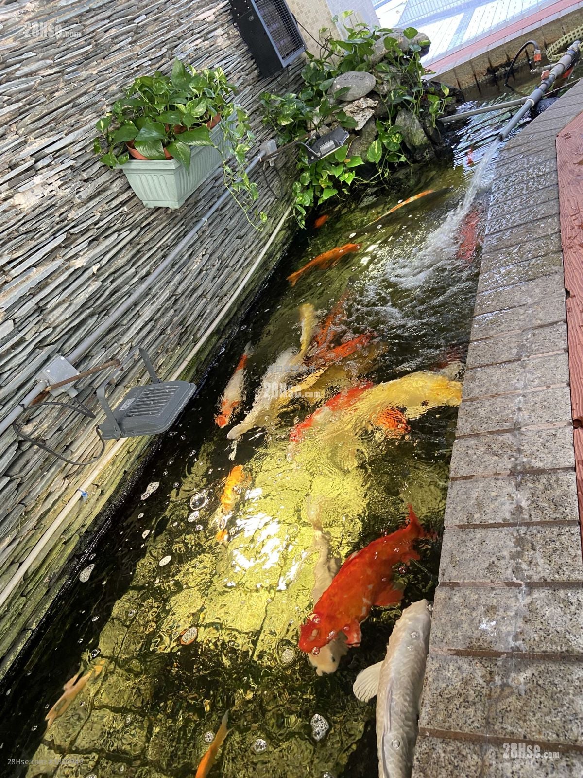 仁禮花園 租盤 4 房 , 3 浴室 2,267 平方呎