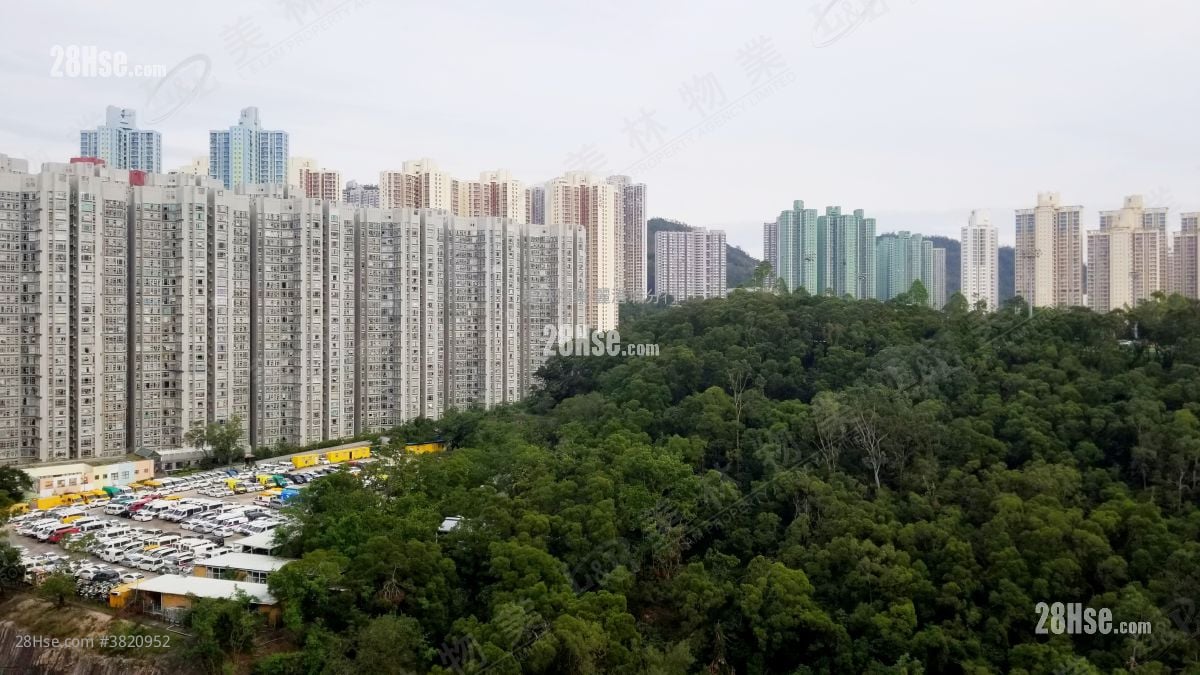 Laguna City Rental 522 ft²