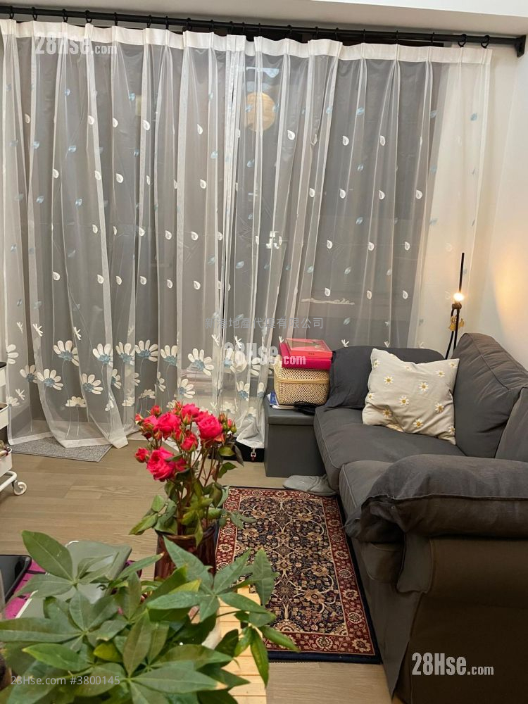 93Pauchungstreet #3800145 Rental Pr...