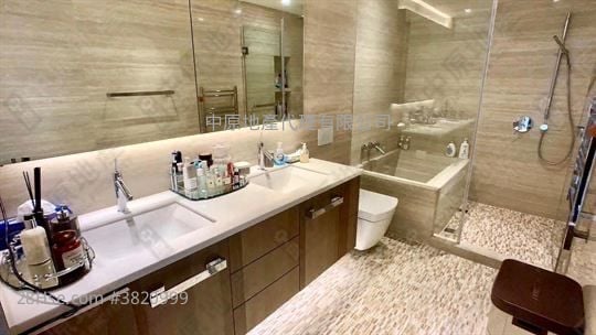 深湾9号 租盘 2 房 1,355 平方尺